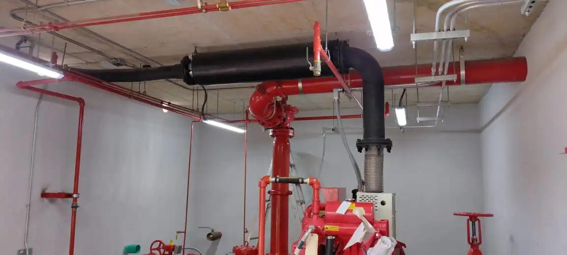 La Cartonera - Imagen 5